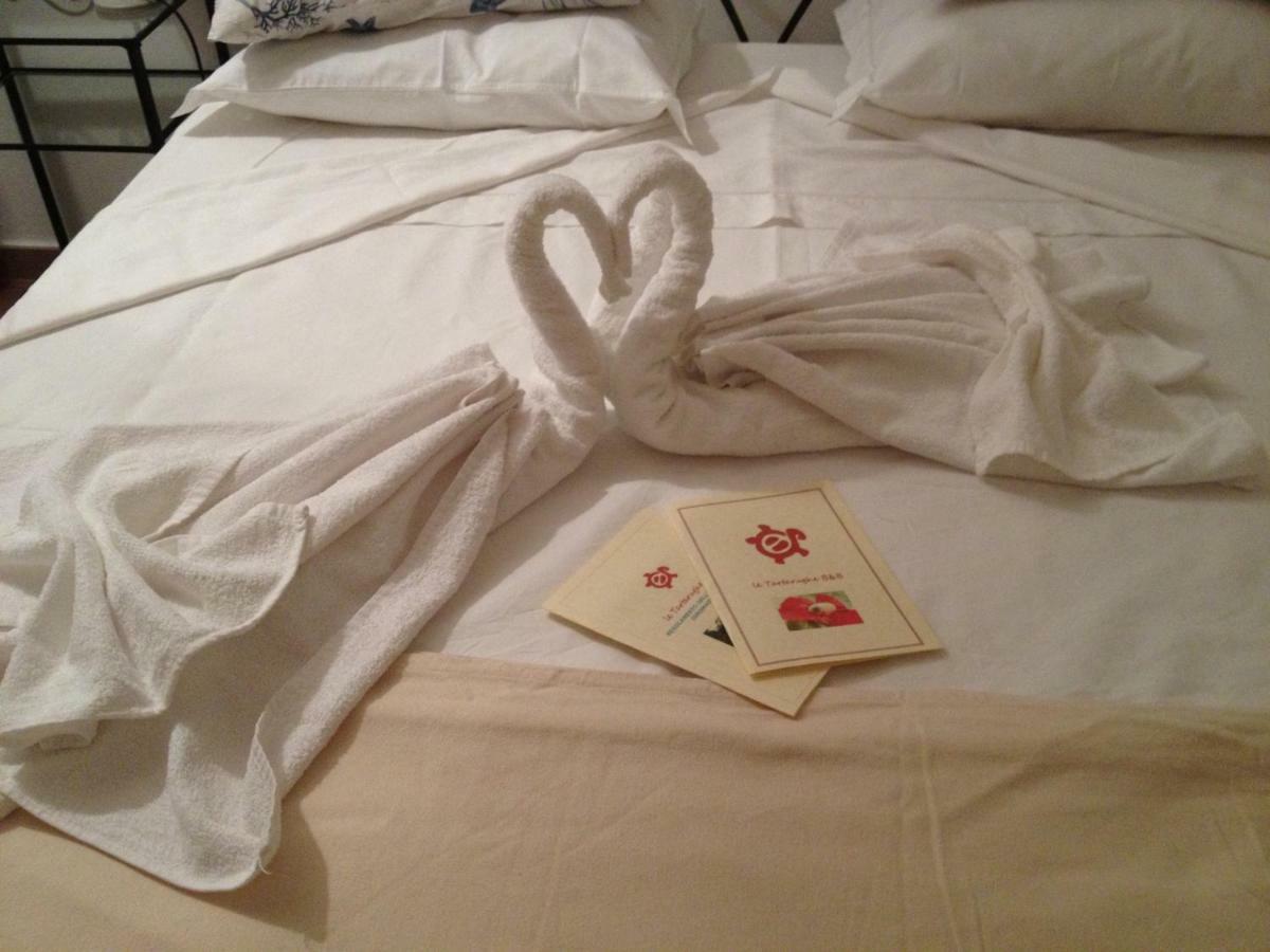 Le Tartarughe Rooms 마글리아노 인 토스카나 외부 사진